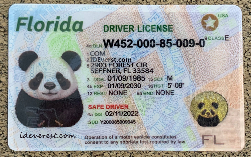 The Real ID Deadline Is in May 2025—Here's How to Get Yours in Time by by Fake ID Brand IdEverest.com